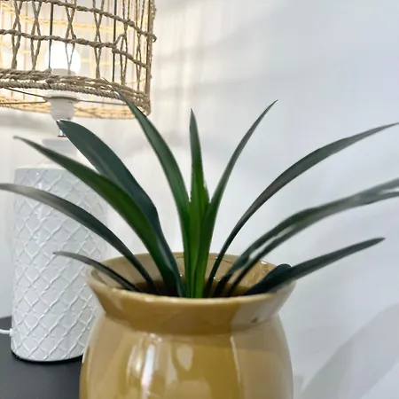 Le Gambetta - - Clim - Balcon - Spacieux * מון-דה-מרסן